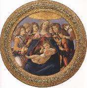 Sandro Botticelli Madonna and Child with six Angels or Madonna of the Pomegranate (mk36) USA oil painting artist